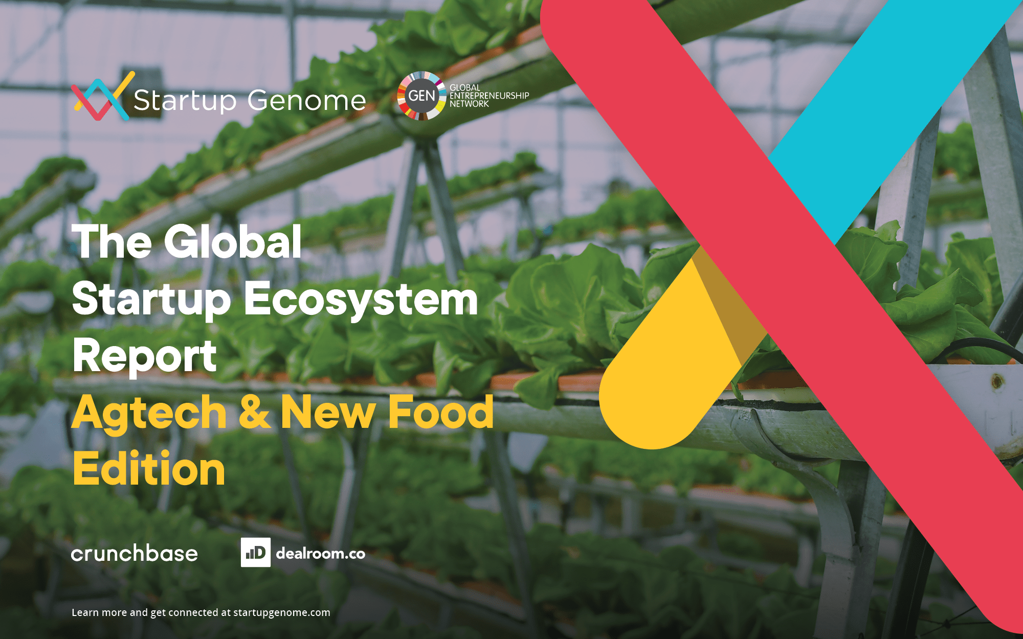 Startup Spotlight: How Agro.Club is Cultivating a Digital Ecosystem for Russian Farmers - AgFunderNews